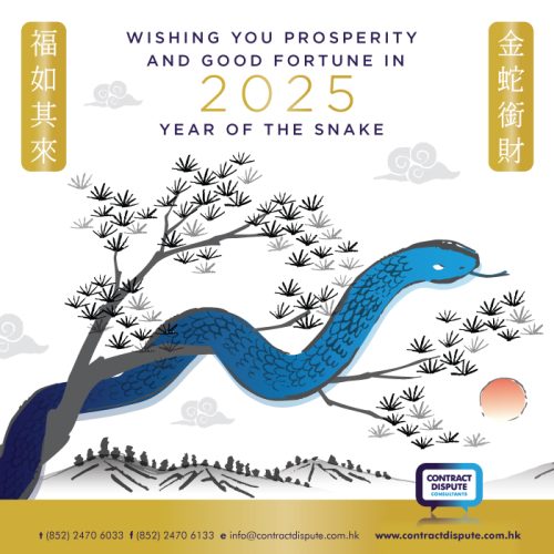 Reflecting on the Year of the Snake